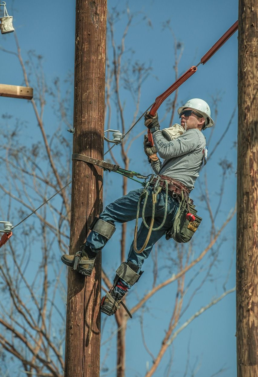 Lineman climbing a wooden utility pole with safety equipment, sunny day.