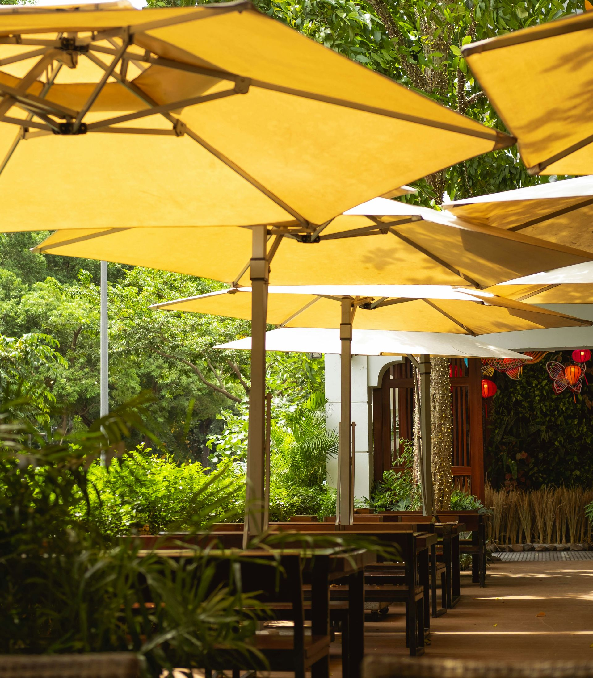 Outdoor dining area with yellow umbrellas, wooden tables, and green foliage.