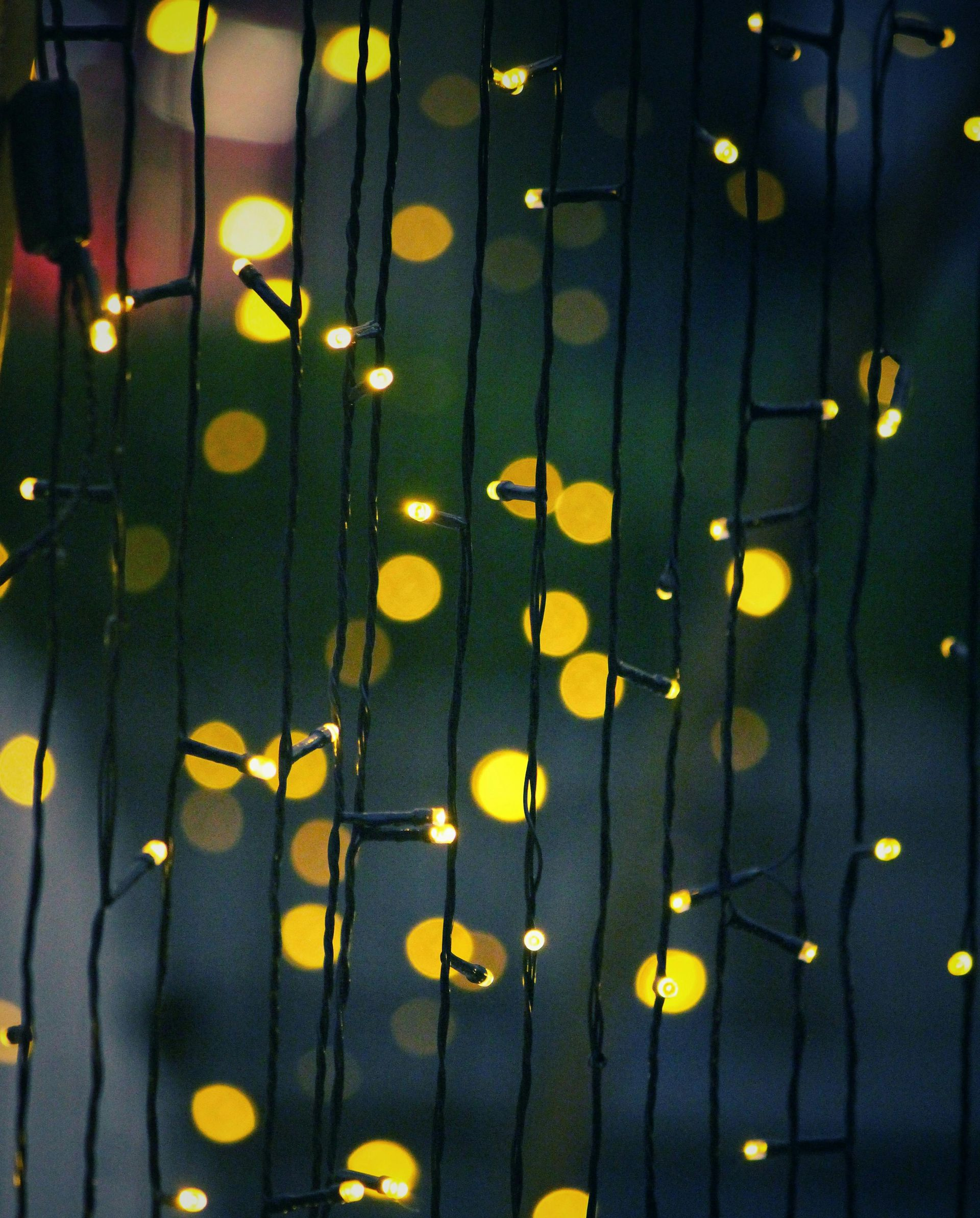 Yellow string lights against a dark blurred background.