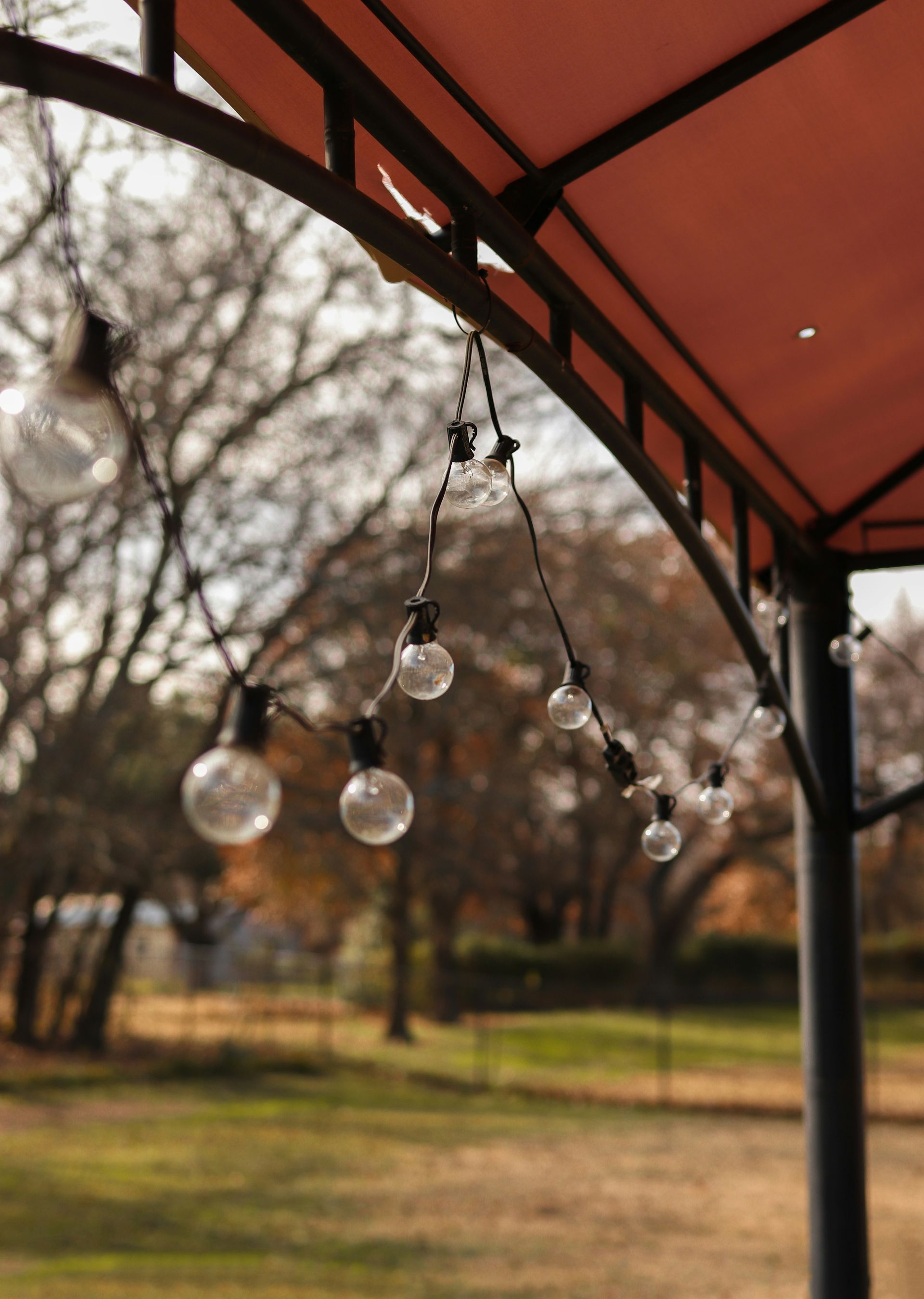 String lights hanging under an orange gazebo roof, with a blurry background of trees and grass.