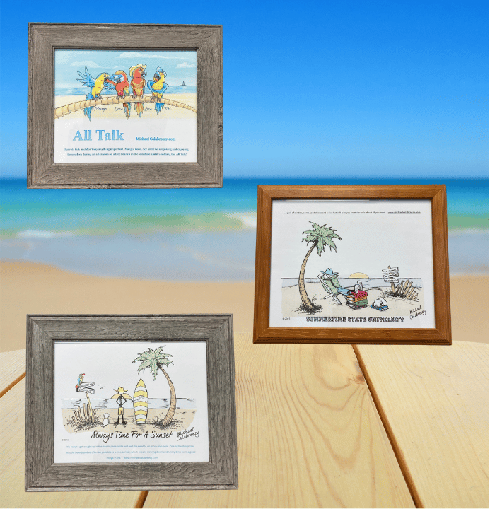 Three framed cartoons with beach scenes; ocean backdrop; two gray frames and one brown frame.