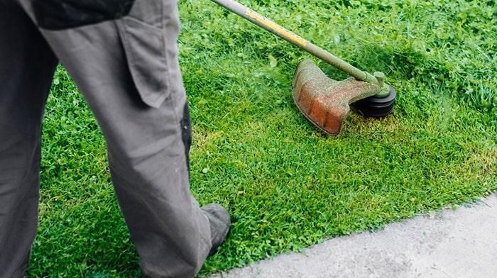 EVER GREEN - SUMINISTROS DE JARDINERÍA