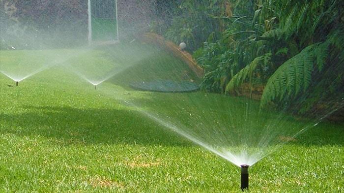 EVER GREEN - JARDINERÍA