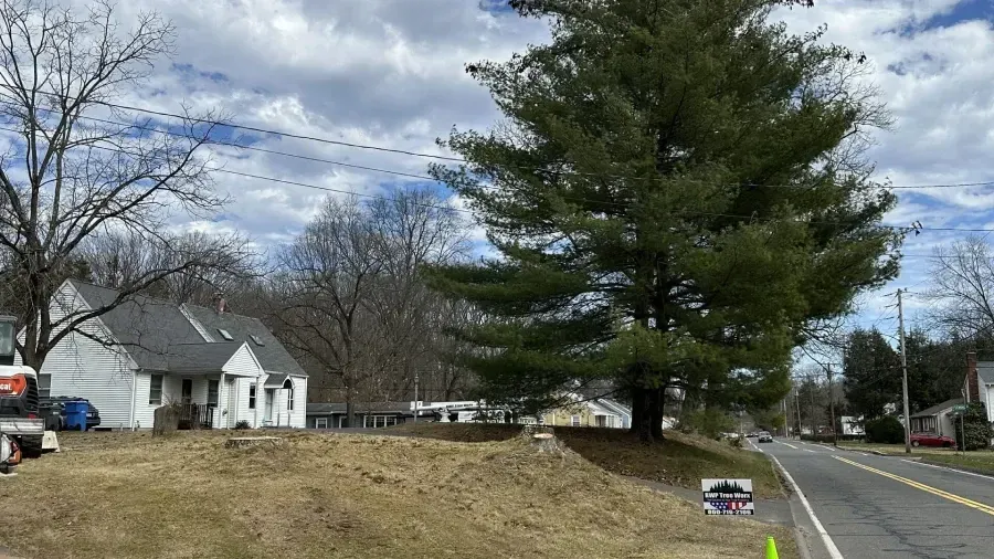 A white house sits on a grassy hill next to a large evergreen tree beside a road under a cloudy sky.