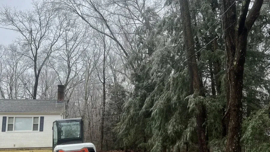 A small white and black construction excavator sits in a yard before trees heavily coated in ice after a winter storm.