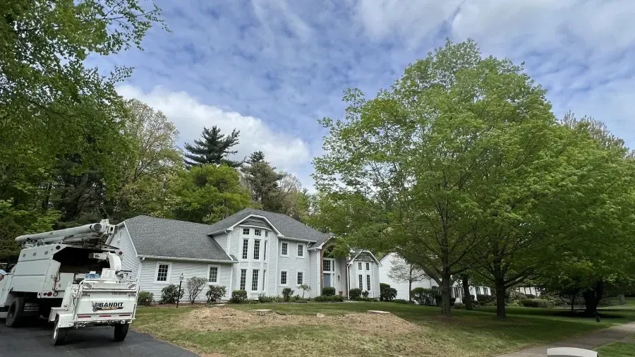 A white house with a multi-gabled roof surrounded by trees and a utility truck parked in the driveway.