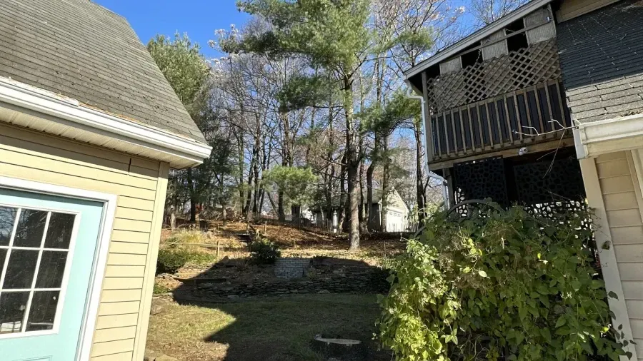 A sunny outdoor scene featuring a yellow building, a leafy bush, and trees leading to another house in the distance.