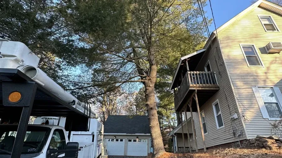 A utility truck parked in a driveway next to a multi-story beige house and a detached garage, near a tall pine tree.