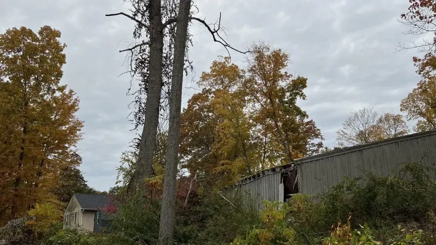 A damaged, gray corrugated metal structure partially hidden by autumn trees under a cloudy sky.
