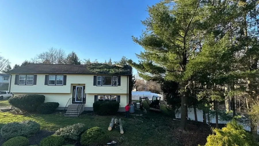 A two-story yellow house with a split-level design, green landscaping, and large pine trees under a clear blue sky.