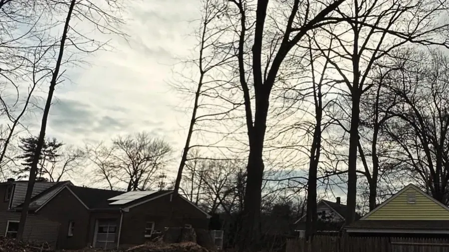 Bare trees stand against a cloudy sky behind a brick house and a small building with a yellow roof.