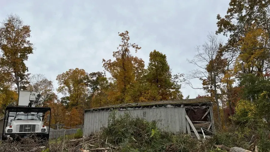 A white utility bucket truck parked near a weathered, dilapidated wooden shed in a wooded area with autumn foliage.