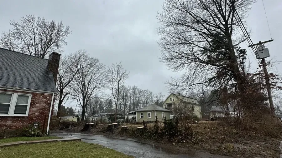 A street-level view of a residential neighborhood on an overcast day, featuring houses, trees, and utility poles.