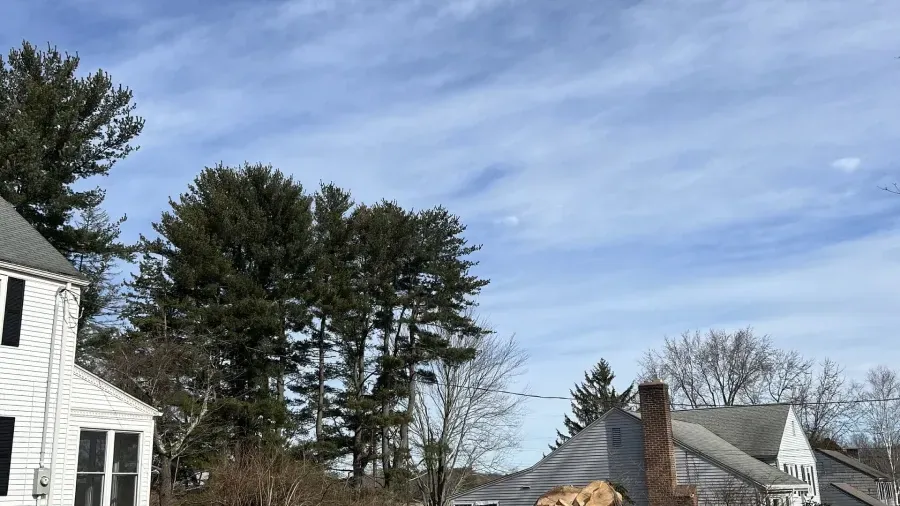 A white house with black shutters stands beside tall pine trees under a cloudy blue sky.