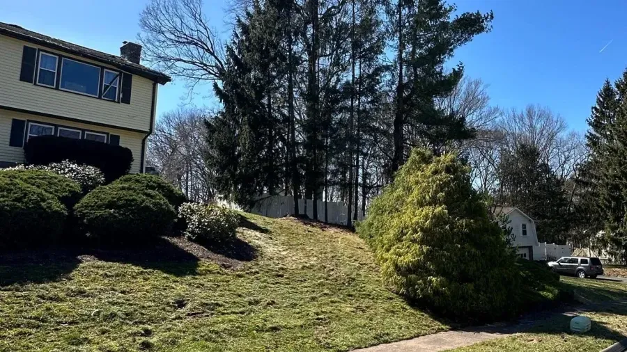 A tan, two-story house sits on a hill behind large, manicured bushes and evergreen trees under a bright blue sky.