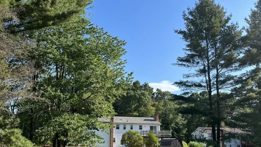 A two-story white house is partially hidden by tall, green trees under a bright blue sky.