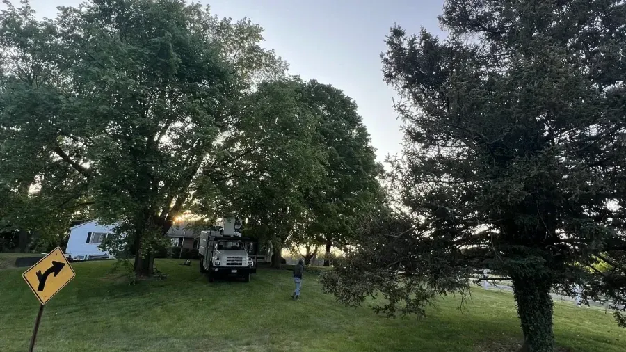 A utility truck is parked on a grassy hillside beneath large trees near a house, with a road sign in the foreground.