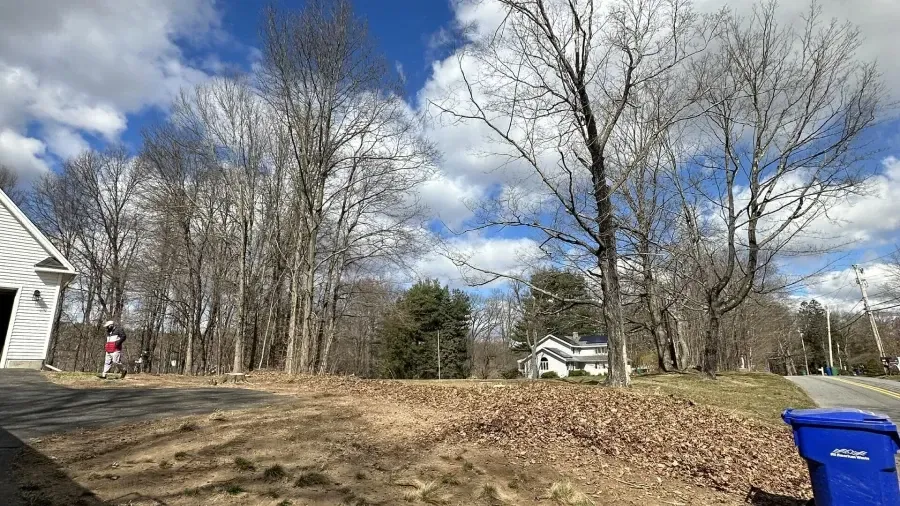 A sunlit, grassy lot with bare trees in early spring, a small house in the background, and a blue bin in the foreground.