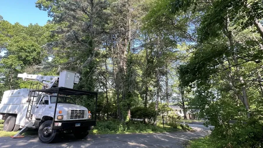 A white utility truck with a raised bucket arm is parked on a paved driveway surrounded by lush green trees.