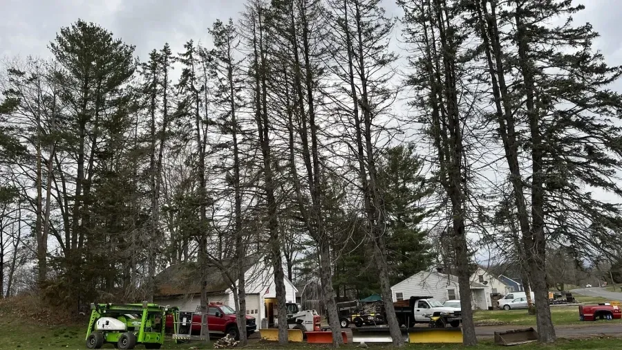 A red truck and heavy machinery parked near a white building behind a line of tall, bare-branched trees under a cloudy sky.