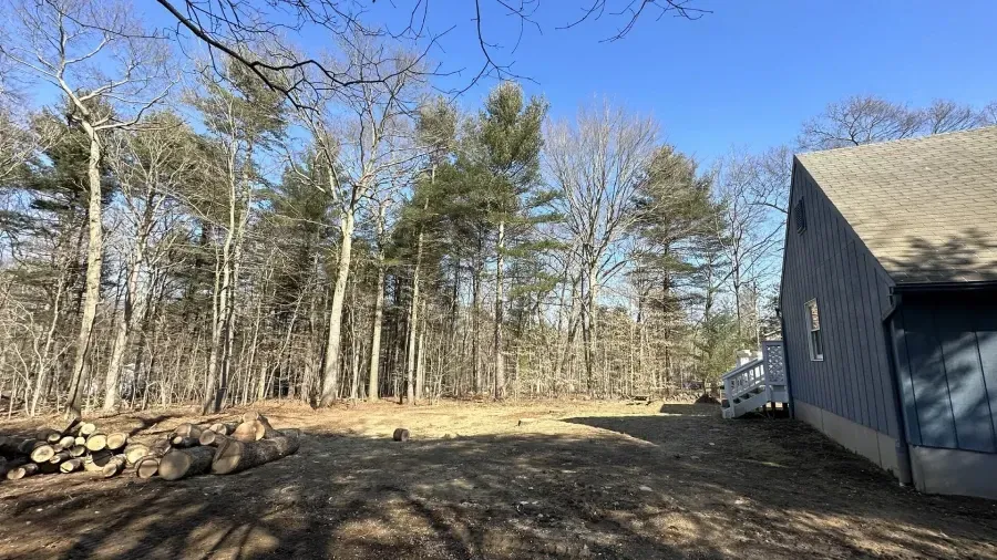 A sunny yard with a wood pile on the left and a blue-sided house on the right, backed by a forest of leafless trees.