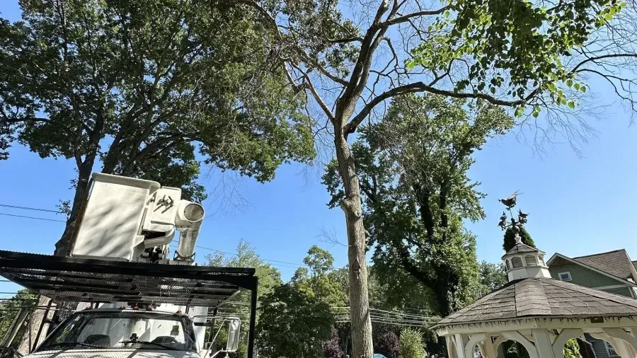 A utility truck with an elevated bucket arm parked next to a gazebo under clear blue skies and mature trees.