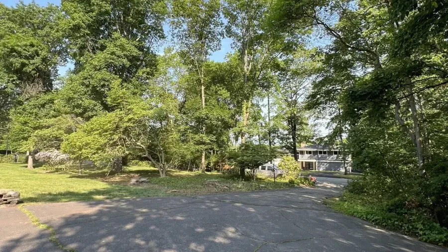 A paved driveway leads toward a house nestled among tall, leafy green trees on a sunny day.