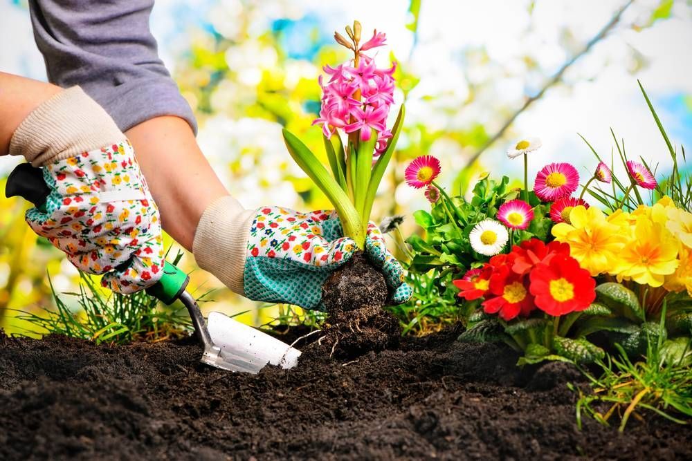 A Person is Planting Flowers in a Garden — TPF Industries in Blacks Beach, QLD