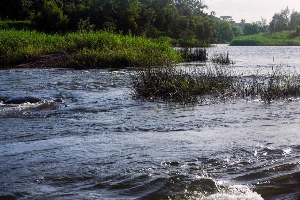 A River Flowing Through a Grassy Area With Trees in the Background — TPF Industries in Marian, QLD