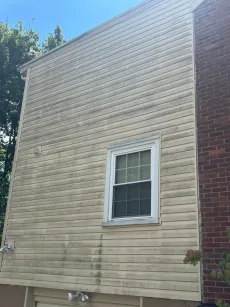 Tan siding on a building with a single window; appears dirty. Adjacent brick wall on right.
