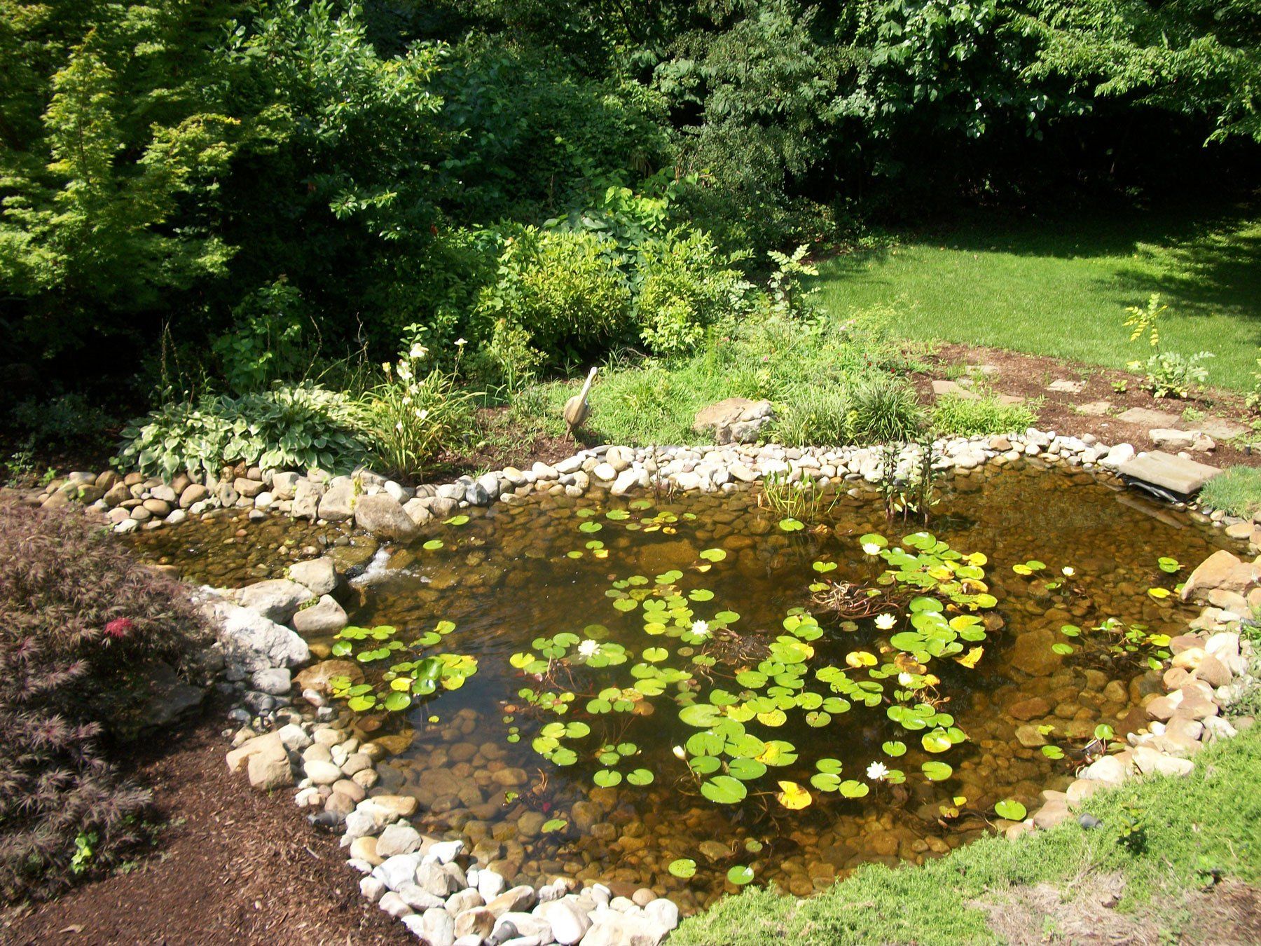 Donnelly Pond — Chesapeake, VA — Brooks Landscaping, Inc.
