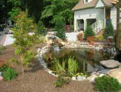 Pond — Chesapeake, VA — Brooks Landscaping, Inc.