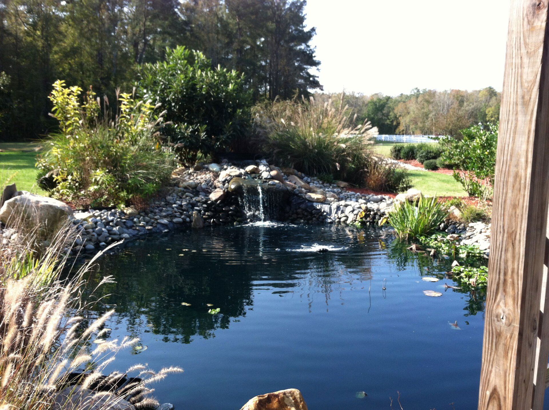 Risse Pond — Chesapeake, VA — Brooks Landscaping, Inc.