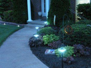 Lighting Path — Chesapeake, VA — Brooks Landscaping, Inc.
