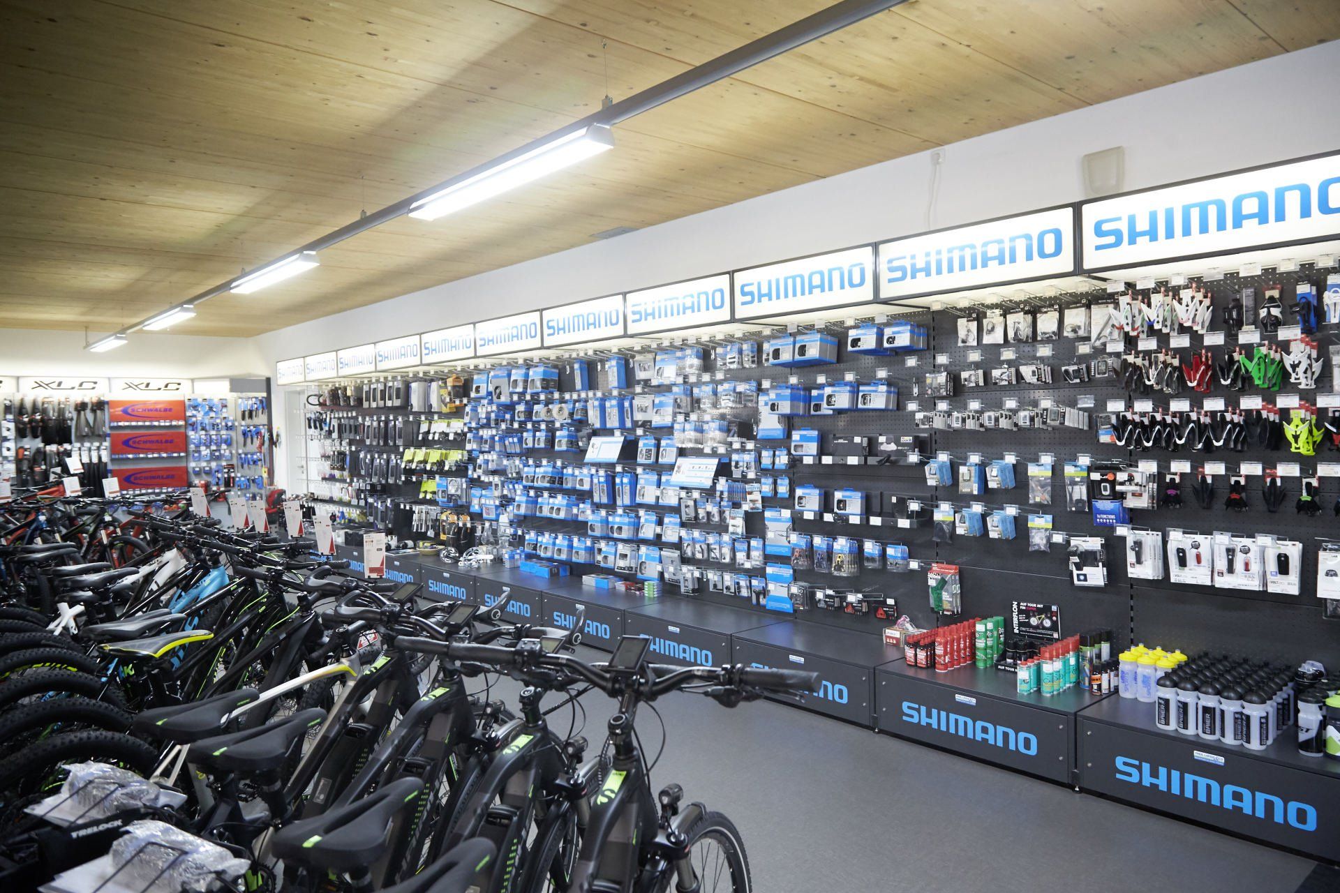 Bike World Baier Galerie Bild 37