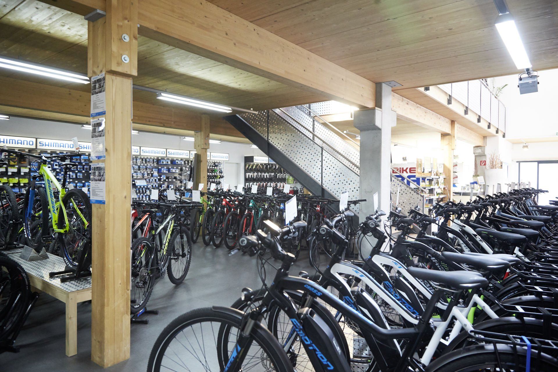 Bike World Baier Galerie Bild 2