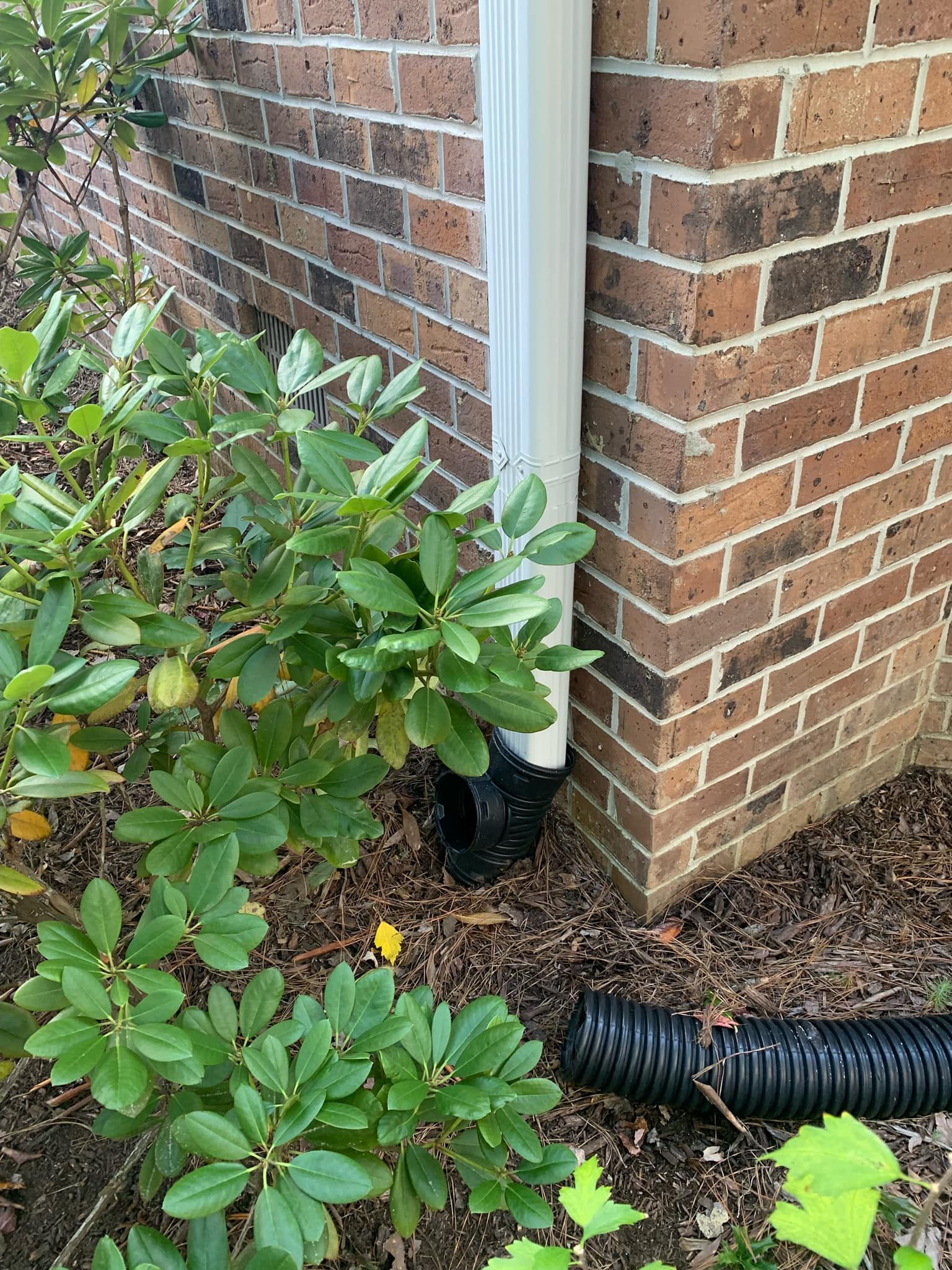 A hose is sitting on the ground next to a brick wall.