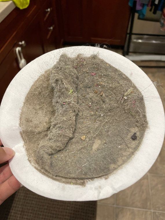A person is holding a paper plate with a lot of dust on it.