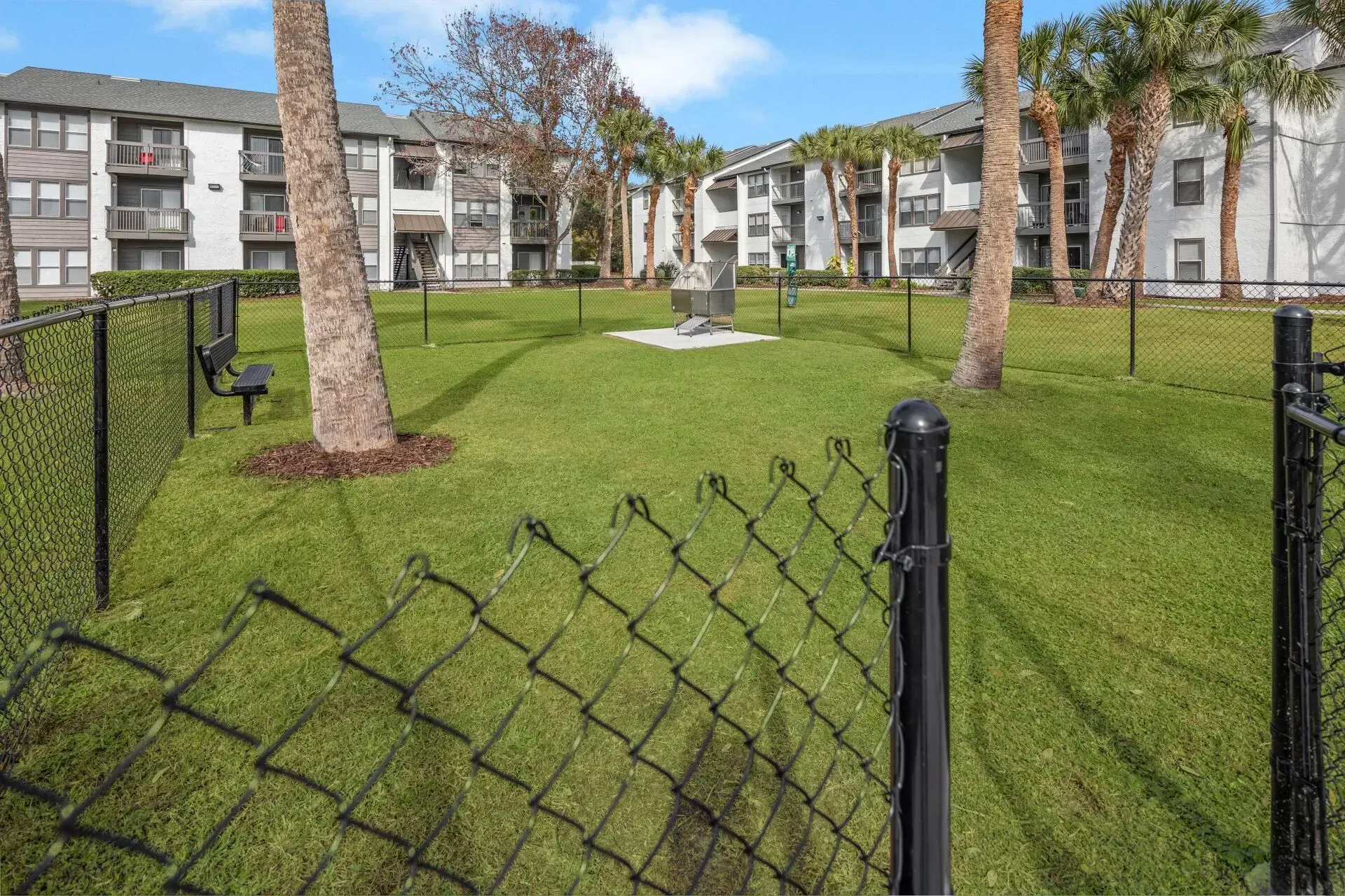 Bark Park  at The Braxton.