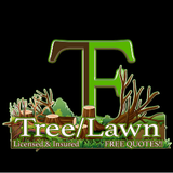 T & F Tree green & brown logo against black background,  Emergency Tree Service 