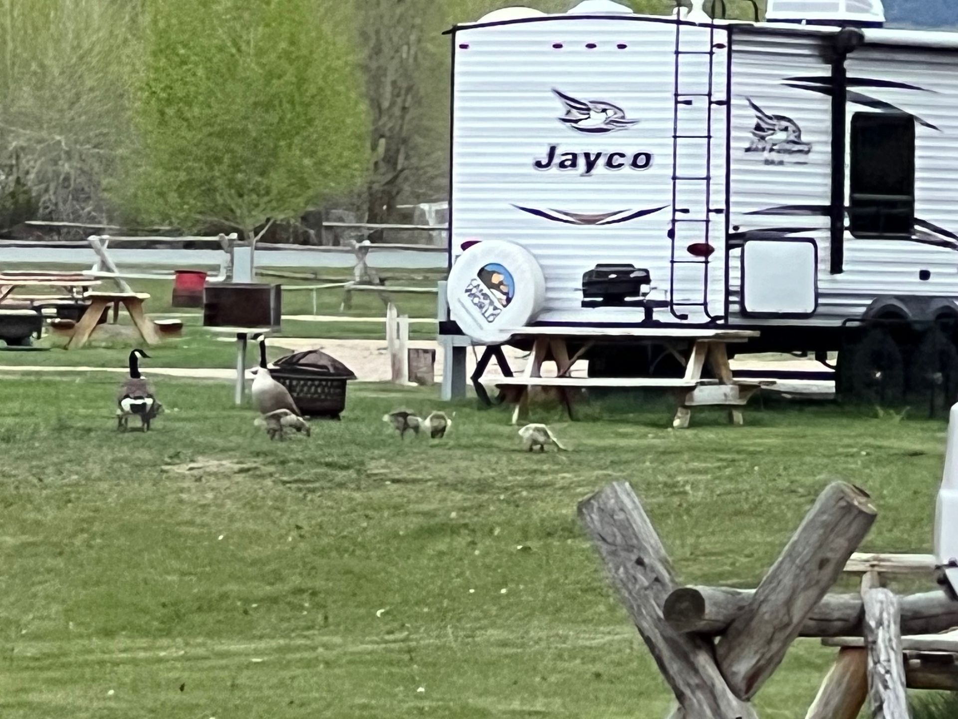 A jayco trailer is parked in a grassy field next to a picnic table.