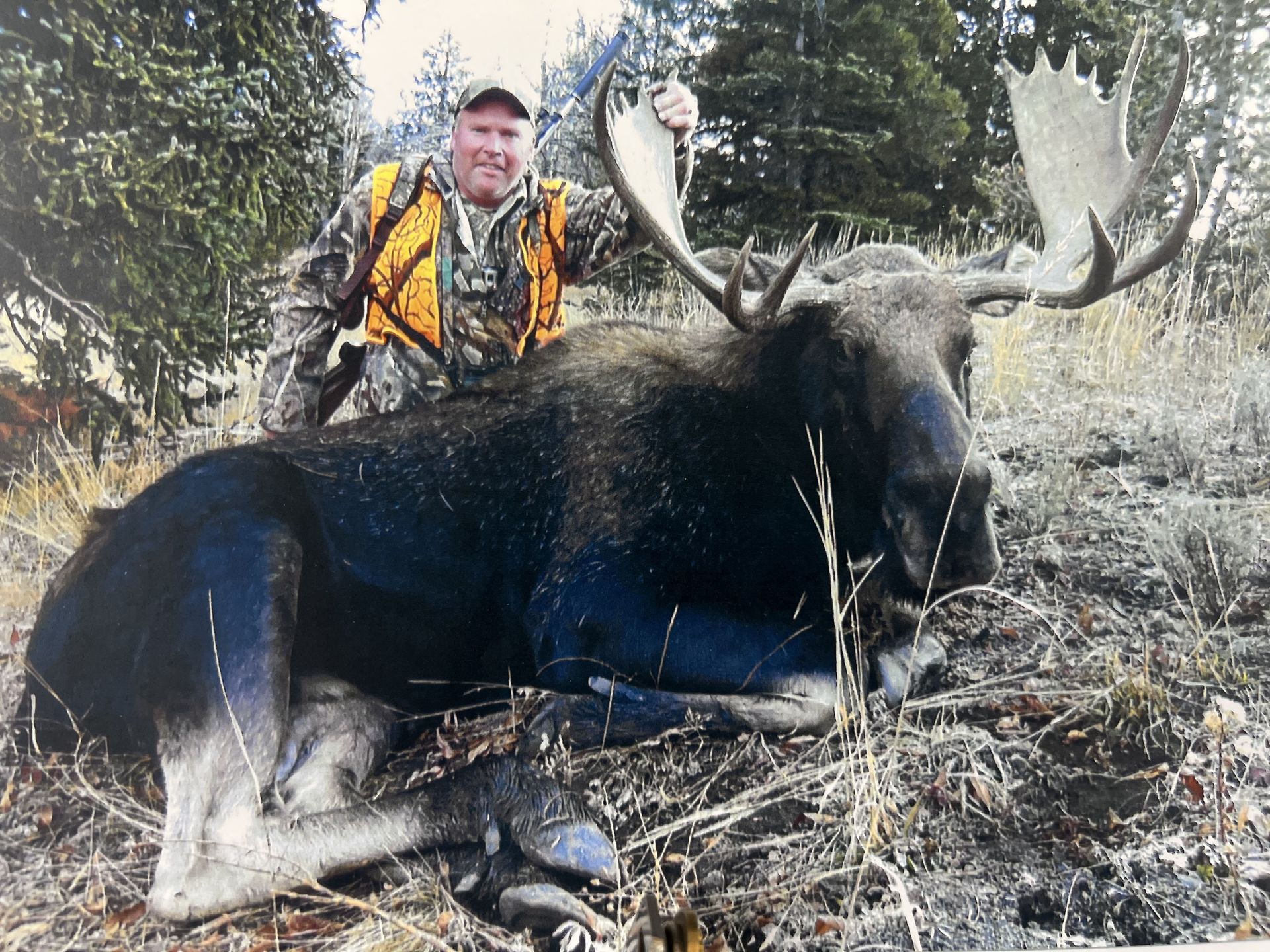 A man is standing next to a large moose