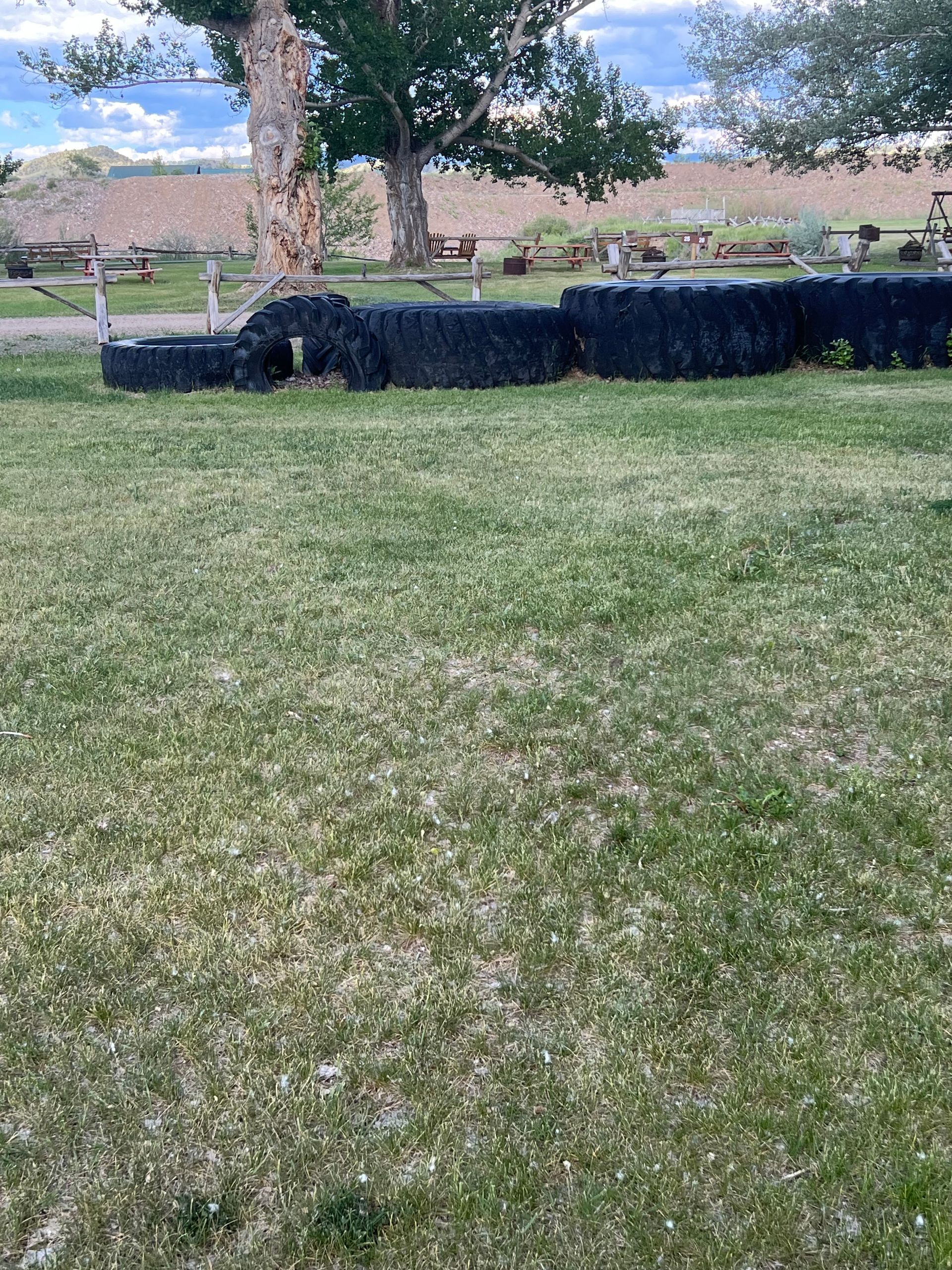 A lush green field with a fence and a tree in the background.