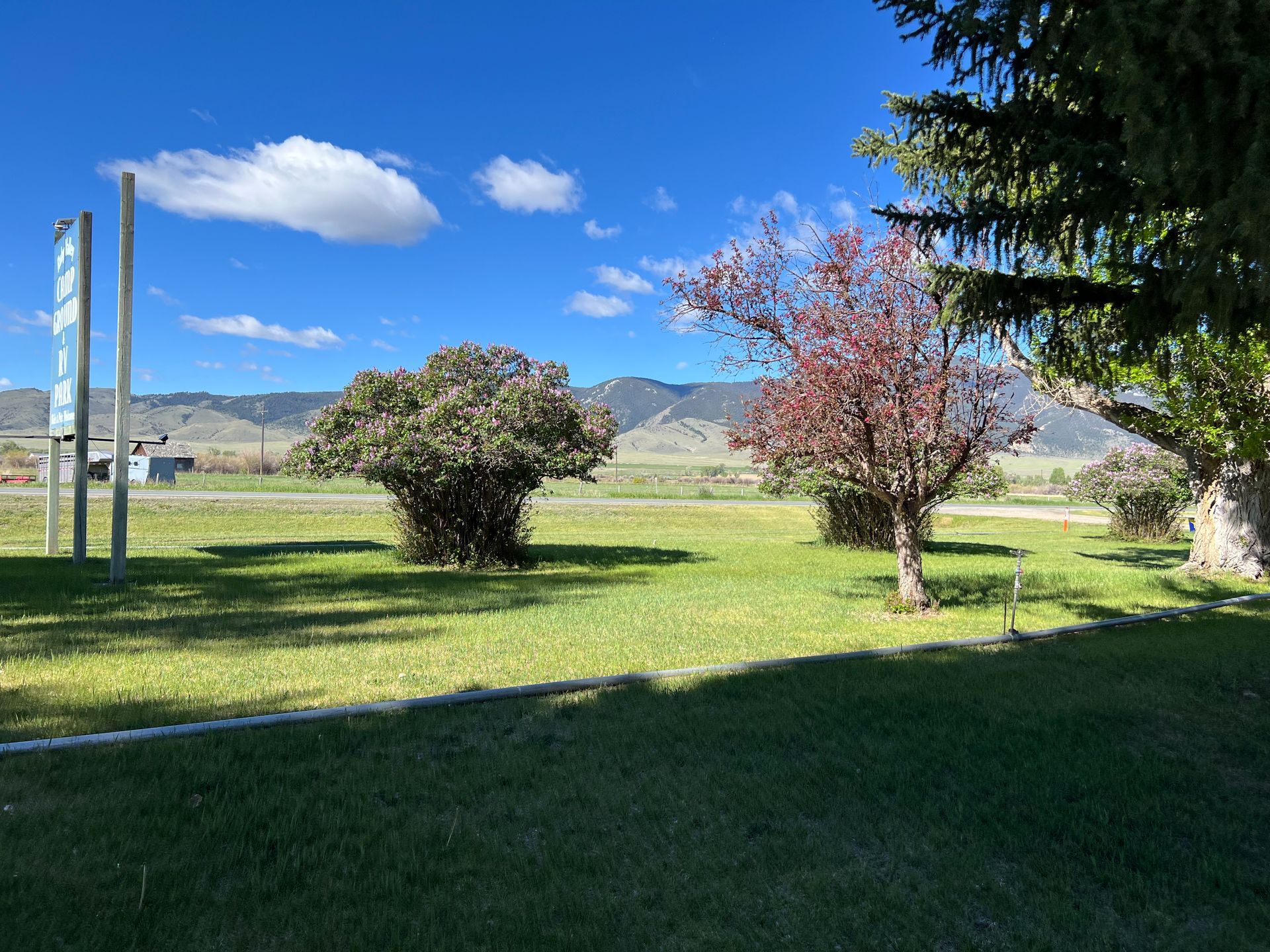 A lush green field with trees and mountains in the background