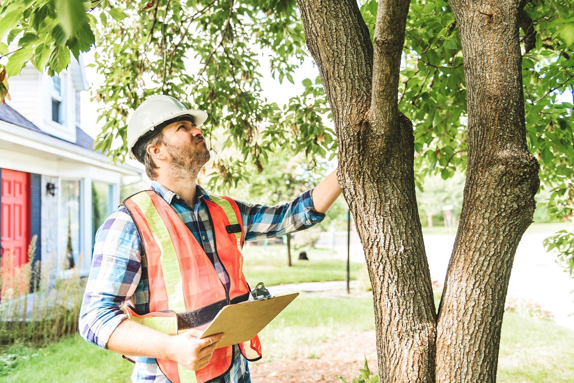 Man in hard hat and vest inspecting tree, holding clipboard outdoors near a house.