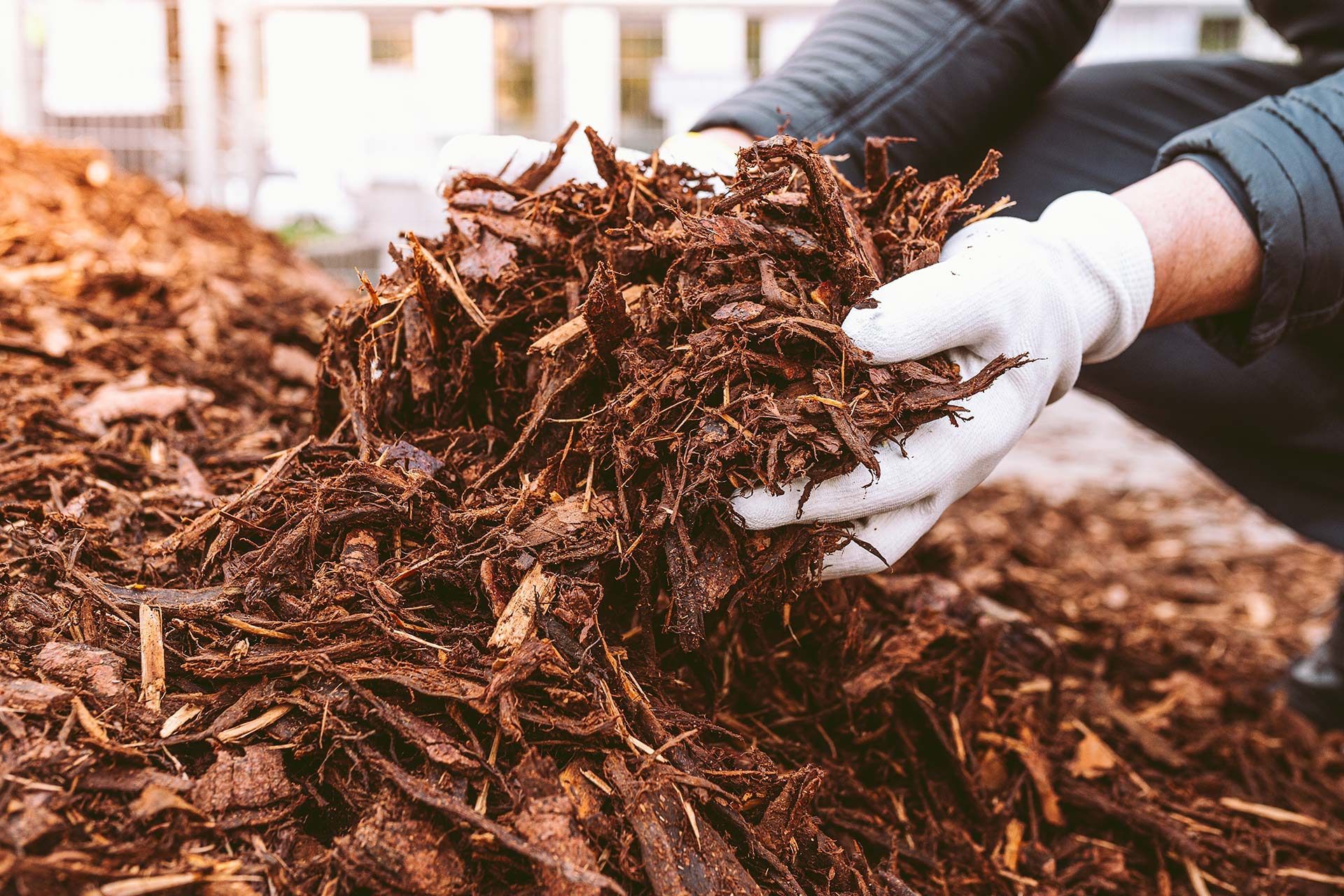 Person in gloves holding a handful of dark brown mulch.
