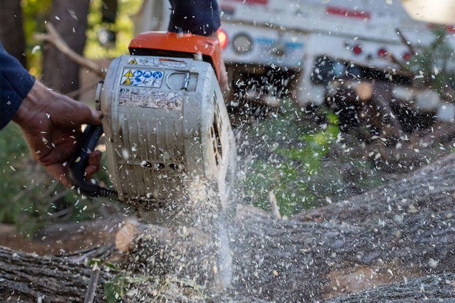 Person using a chainsaw, cutting wood; sawdust flying; outdoors.