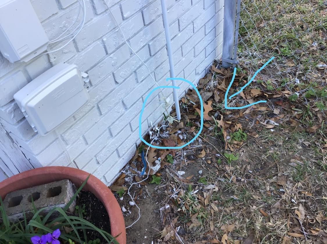 Bird droppings and feathers gathered at the base of a brick wall, near a metal pipe and dirt.