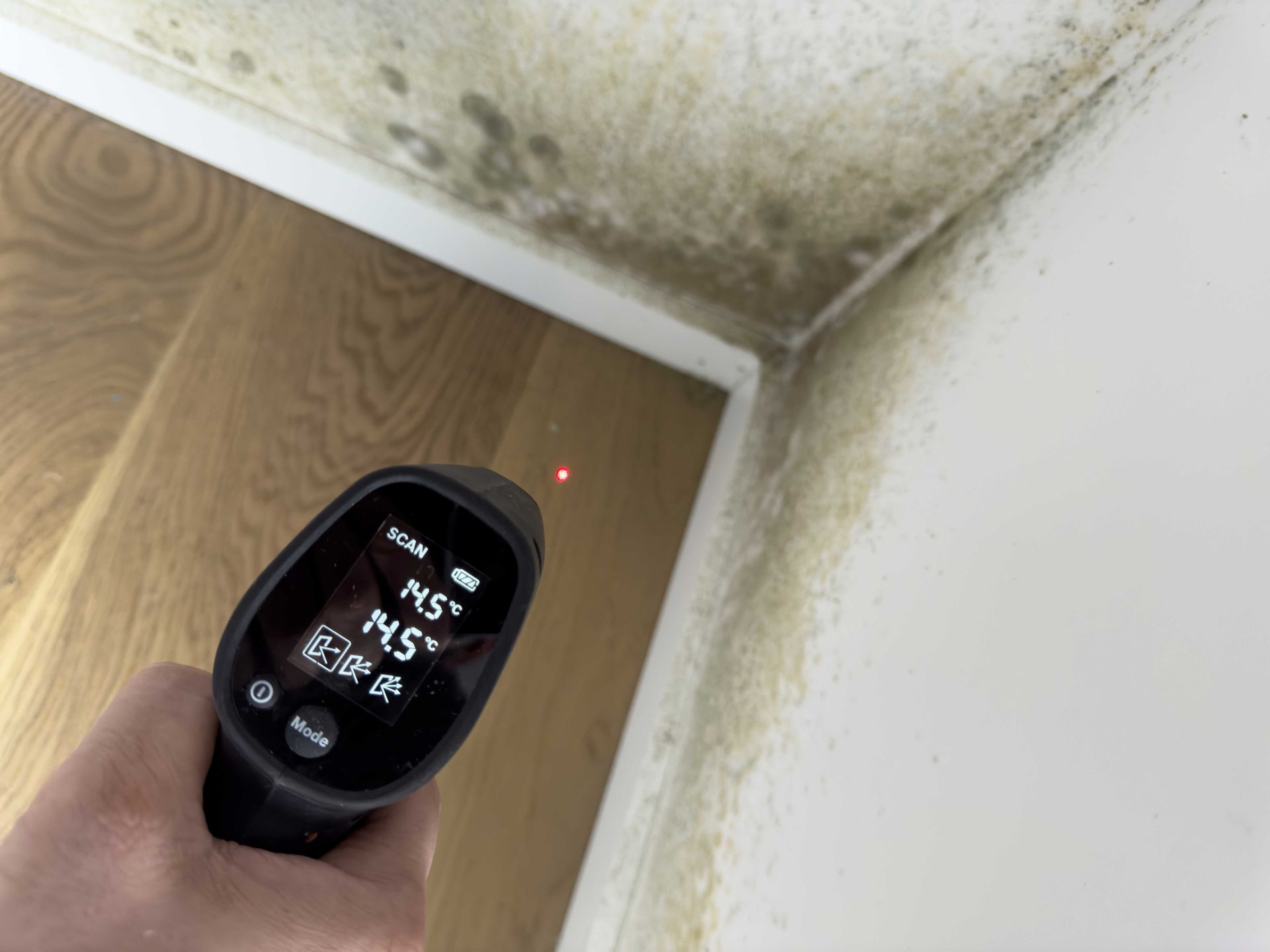 Moldy corner with a temperature scanner showing 14.5 degrees.