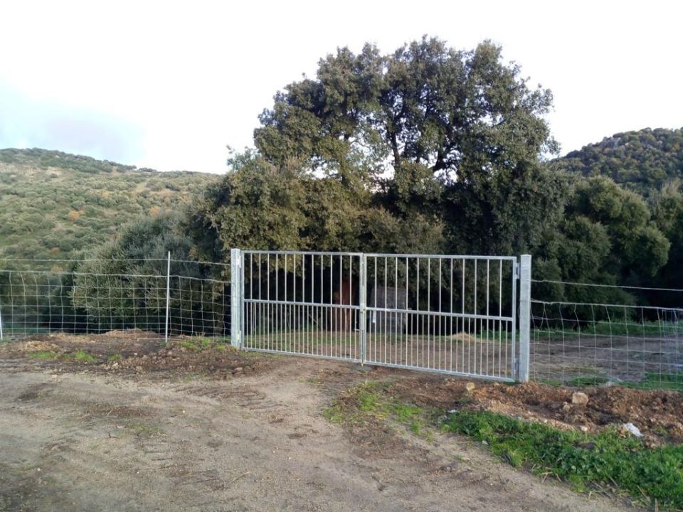 cancello in ferro in una fattoria